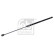 Gas spring, trunk 180708 FEBI