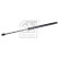 Gas spring, trunk 180709 FEBI