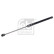 Gas spring, trunk 180715 FEBI