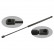 gas spring, trunk 25230 FEBI