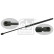 gas spring, trunk 27671 FEBI, Thumbnail 2