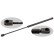 gas spring, trunk 27709 FEBI