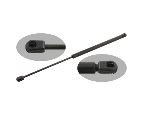 gas spring, trunk 29293 FEBI