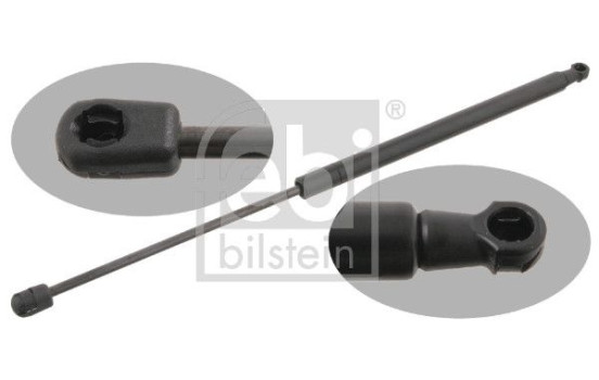 gas spring, trunk 29300 FEBI, Image 2