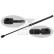 gas spring, trunk 29977 FEBI, Thumbnail 2