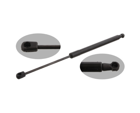 gas spring, trunk 31641 FEBI