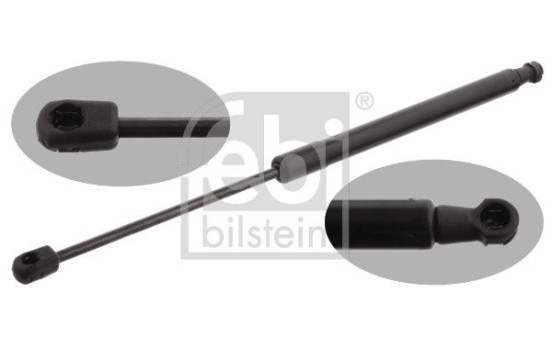 gas spring, trunk 31641 FEBI, Image 2