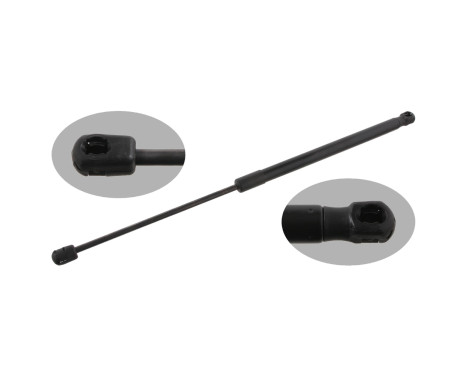 gas spring, trunk 31642 FEBI