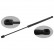 gas spring, trunk 31642 FEBI