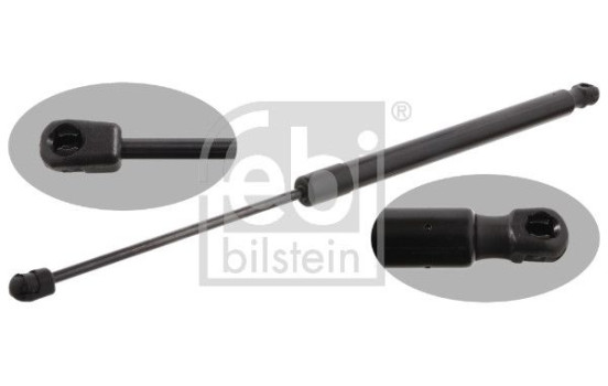 gas spring, trunk 31643 FEBI, Image 2