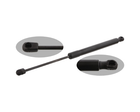 gas spring, trunk 31644 FEBI