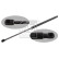 gas spring, trunk 31645 FEBI, Thumbnail 2