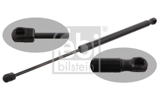 gas spring, trunk 31648 FEBI, Image 2