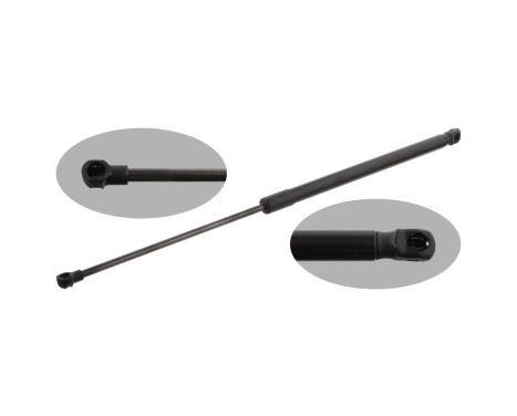 gas spring, trunk 31650 FEBI
