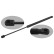 gas spring, trunk 31674 FEBI