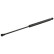 gas spring, trunk 31950 FEBI