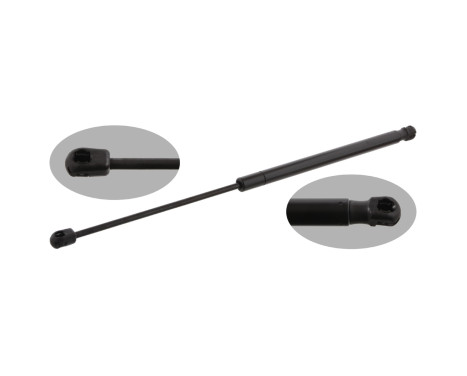 gas spring, trunk 31955 FEBI