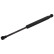 gas spring, trunk 33343 FEBI