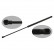 gas spring, trunk 34422 FEBI