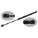 gas spring, trunk 38236 FEBI