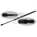 gas spring, trunk 38519 FEBI, Thumbnail 2