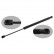 gas spring, trunk 39704 FEBI