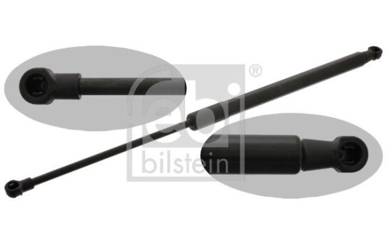 gas spring, trunk 44001 FEBI, Image 2