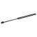 Gas spring, trunk 47096 FEBI