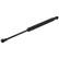 Gas spring, trunk 47119 FEBI