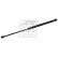 Gas spring, trunk 47120 FEBI, Thumbnail 2