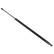 gas spring, trunk ADA105808 Blue Print