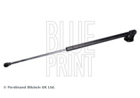 Gas spring, trunk ADBP580032 Blue Print