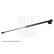 Gas spring, trunk ADBP580032 Blue Print