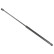 gas spring, trunk ADM55802 Blue Print