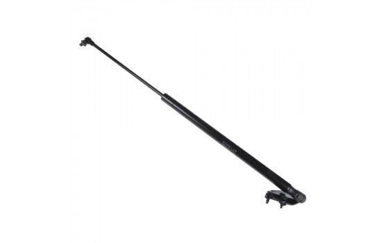 gas spring, trunk ADM55807 Blue Print