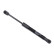 gas spring, trunk ADM55811 Blue Print