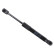 gas spring, trunk ADM55817 Blue Print
