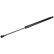 gas spring, trunk ADT35827 Blue Print
