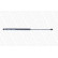 gas spring, trunk ML6070 Monroe, Thumbnail 5