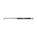 gas spring, trunk ML6085 Monroe