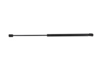 Gas spring, trunk ML6563 Monroe