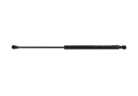 Gas spring, trunk ML6564 Monroe