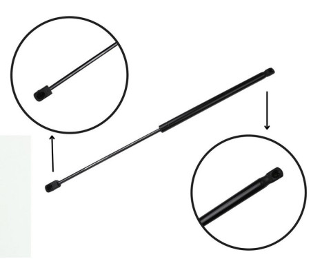 Gas spring, trunk ML6610 Monroe