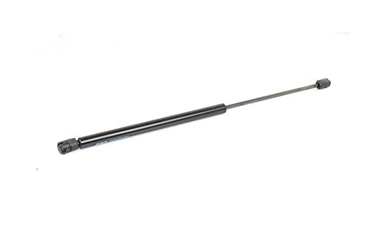 Gas spring, trunk