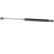 Gas spring, trunk