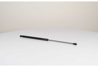 Gas spring, trunk