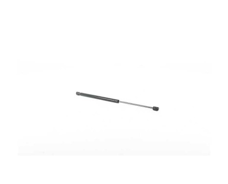 Gas spring, trunk