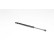 Gas spring, trunk