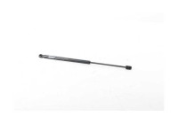 Gas spring, trunk
