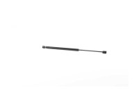 Gas spring, trunk